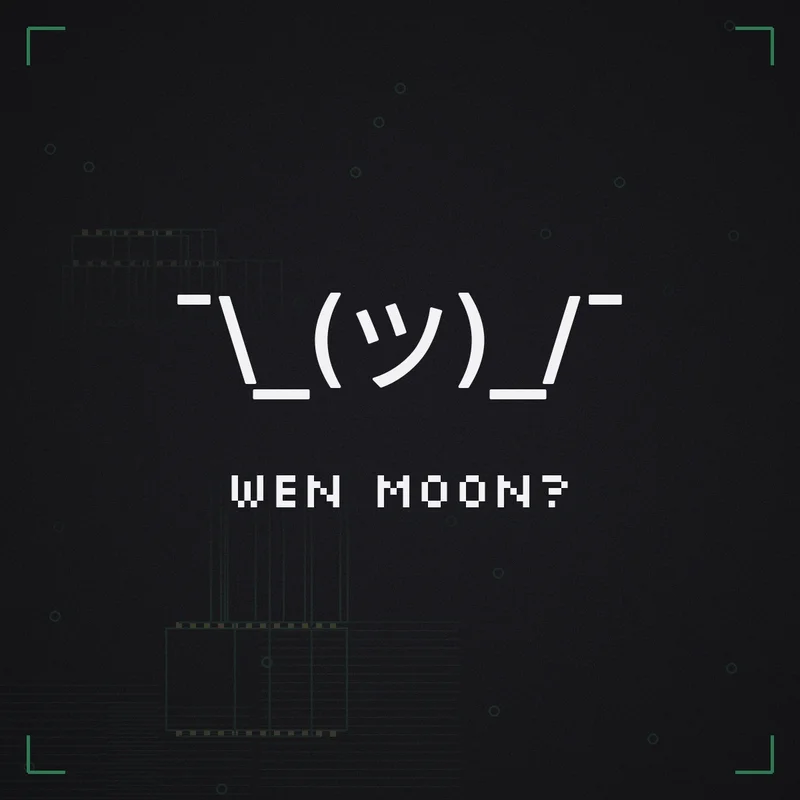 ¯\_(ツ)_/¯ Wen moon?
