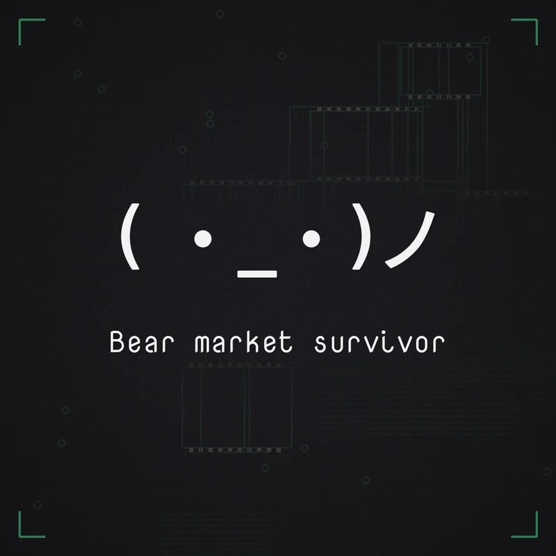 ( ・_・)ノ Bear market survivor