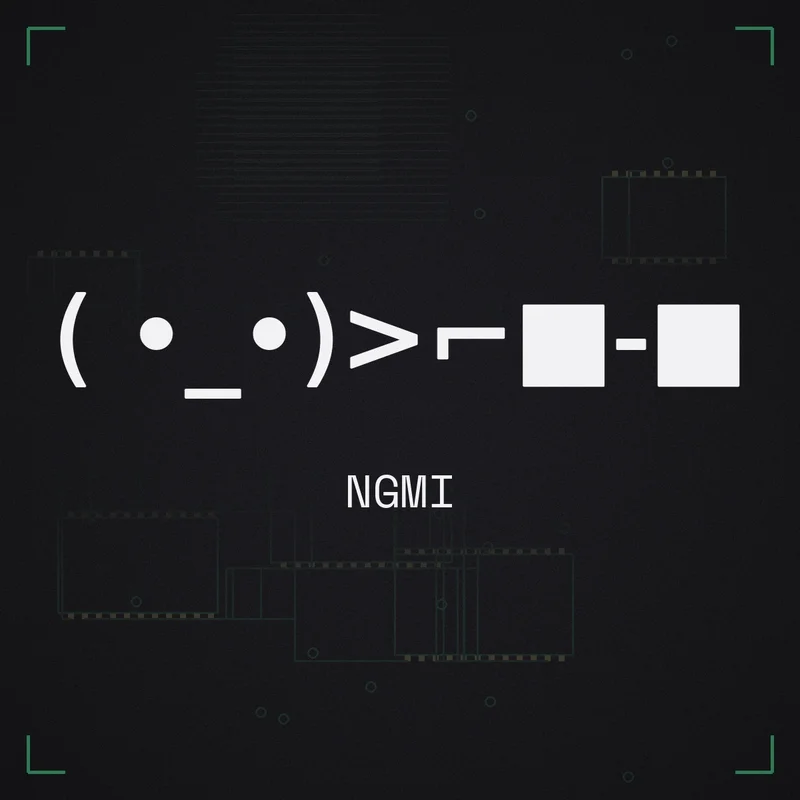 ( •_•)>⌐■-■ NGMI