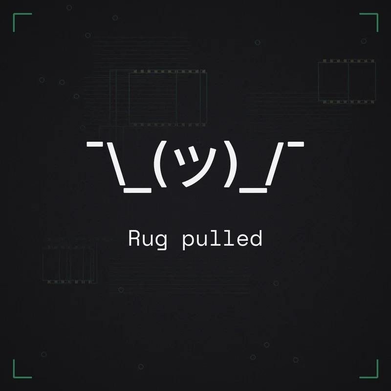 ¯\_(ツ)_/¯ Rug pulled