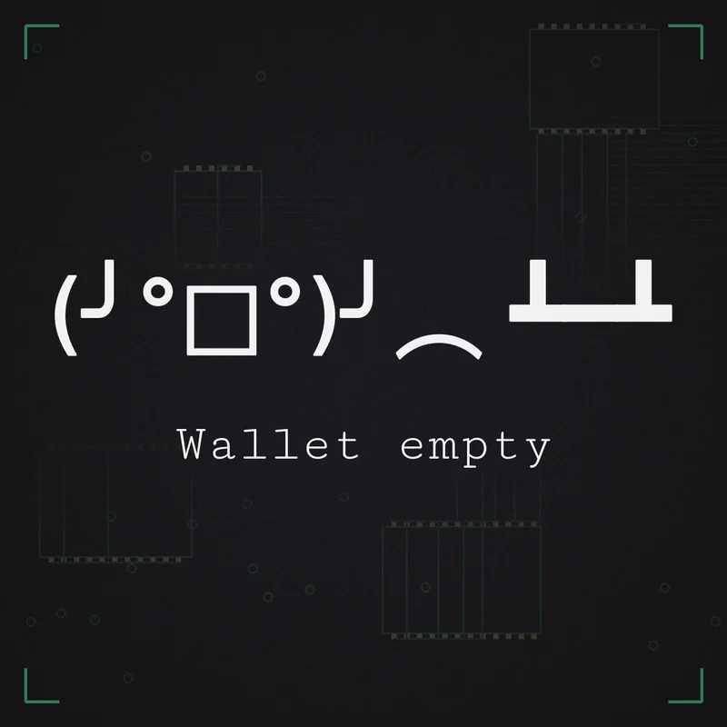 (╯°□°)╯︵ ┻━┻ Wallet empty