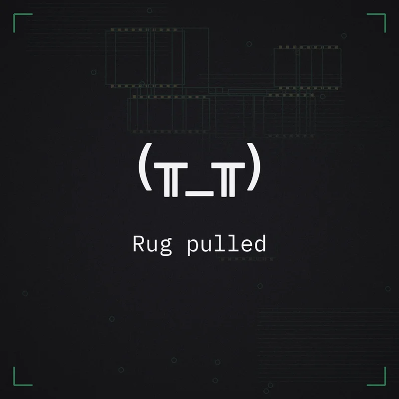 (╥_╥) Rug pulled