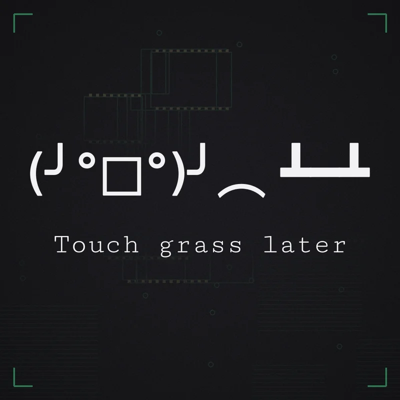 (╯°□°)╯︵ ┻━┻ Touch grass later