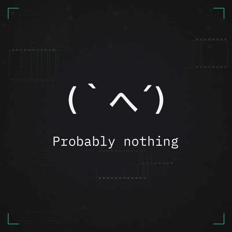 (｀へ´) Probably nothing