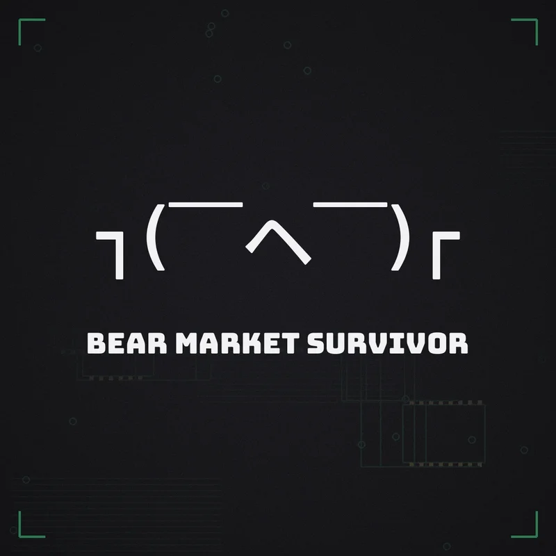 ┐( ̄ヘ ̄)┌ Bear market survivor