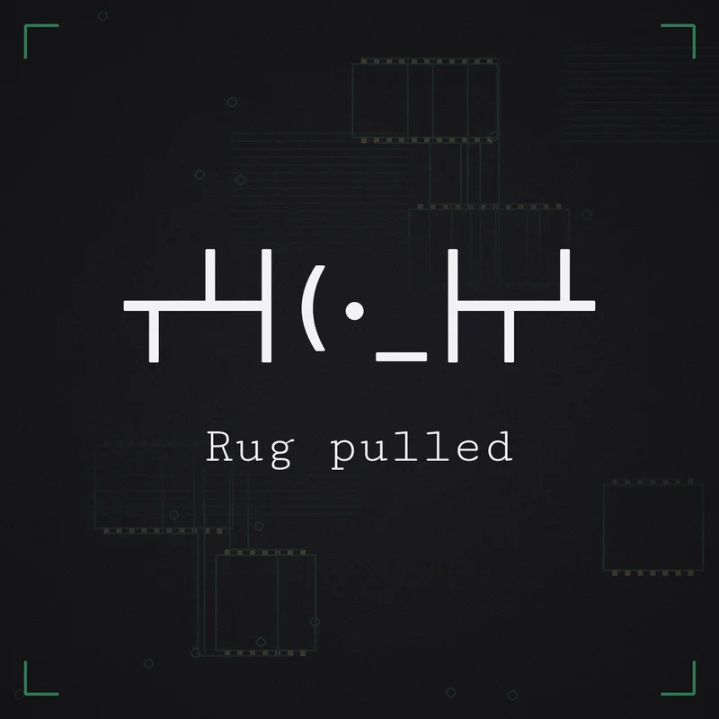 ┬┴┤(･_├┬┴ Rug pulled