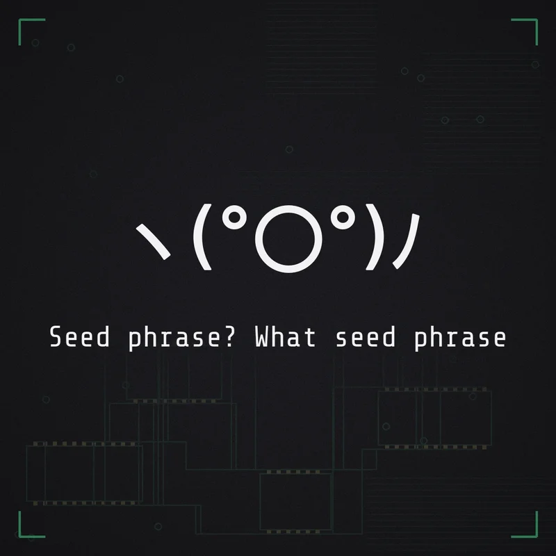 ヽ(°〇°)ﾉ Seed phrase? What seed phrase