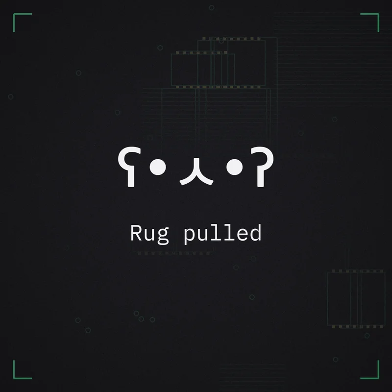 ʕ•ㅅ•ʔ Rug pulled