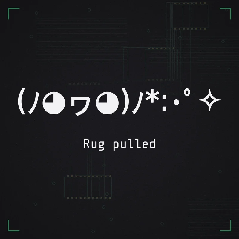 (ノ◕ヮ◕)ノ*:・゜✧ Rug pulled